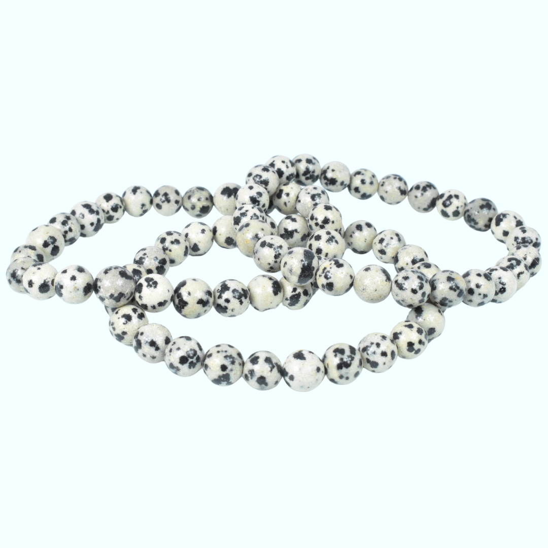 Dalmatian Jasper Bead Bracelet