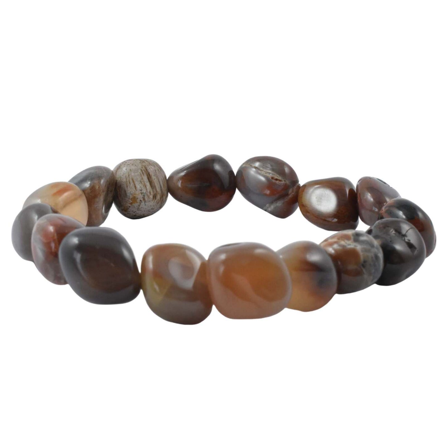 Petrified Wood Tumbled Bracelet