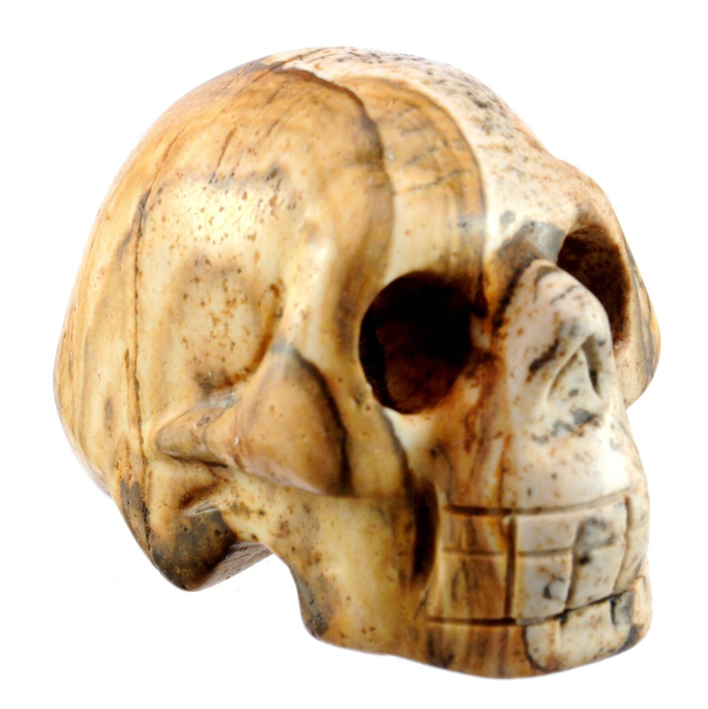 Picture Jasper Crystal Skull Carving
