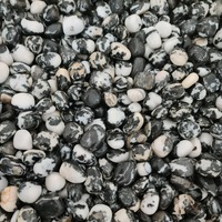 Black &amp; White Zebra Jasper Tumbled Stones - BULK ONLY