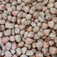 Sunstone Tumbled Stones - BULK ONLY