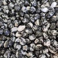 Black &amp; White Zebra Jasper Tumbled Stones - BULK ONLY