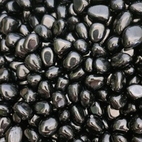 Jet Tumbled Stones - BULK ONLY