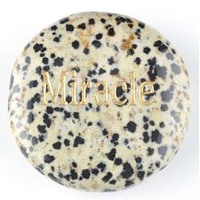 Miracle Jasper Dalmatian Word Stone