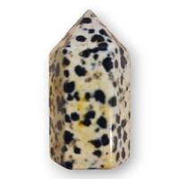 Dalmatian Jasper Full Polished Generator