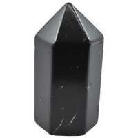 Shungite Full Polished Generator