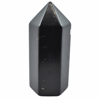 Shungite Full Polished Generator