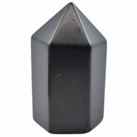 Shungite Full Polished Generator