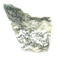 Tree Agate Polished Piece [3 pcs]