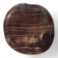 Petrified Wood Palm Stone [45-47 mm 1 pcs]