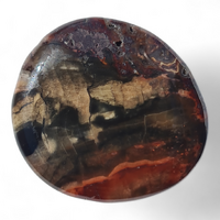 Petrified Wood Palm Stone [37-39 mm 3 pcs]