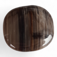 Petrified Wood Palm Stone [39-41 mm 2 pcs]