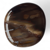 Petrified Wood Palm Stone [43-45 mm 1 pcs]