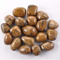 Lion Jasper Tumbled Stones