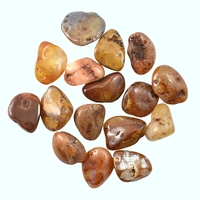 Carnelian Tumbled Stones [Large]