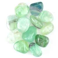 Green Fluorite Tumbled Stones [Large]