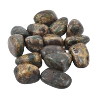 Green Leopardskin Jasper  Tumbled Stones [Large]