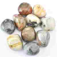 Grey Cat Eye Tumbled Stones [Natural - Large]