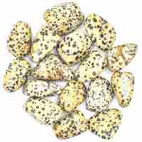 Dalmatian Jasper Tumbled Stones [Large Type 1]