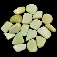 Lemon Chrysoprase Tumbled Stones [Large (Type A)]