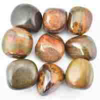 Maple Stone Tumbled Stones [Large]