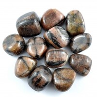 Chiastolite Tumbled Stones [Large]