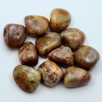 Red Moroccan Agate Tumbled Stones [Large]