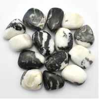 Black &amp; White Zebra Jasper Tumbled Stones [Large]