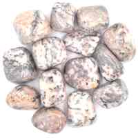 Pink Zebra Jasper Tumbled Stones [Large (Type 2)]