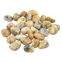 Yellow Crazy Lace Agate Tumbled Stones [Medium 150gm]