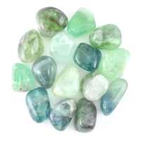 Green Fluorite Tumbled Stones [Medium]