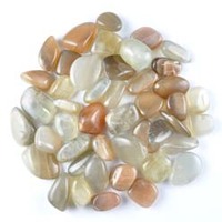 Green Moonstone Tumbled Stones [Medium]