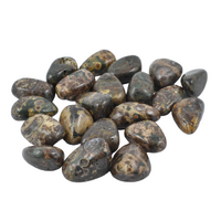 Green Leopardskin Jasper  Tumbled Stones [Medium]