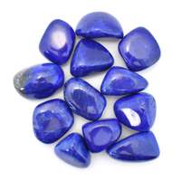 Blue Lapis Howlite Tumbled Stones [Medium]