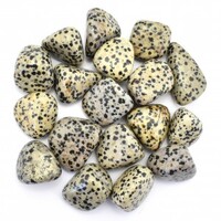 Dalmatian Jasper Tumbled Stones [Medium]