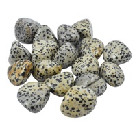 Dalmatian Jasper Tumbled Stones [Medium]