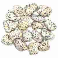 Dalmatian Jasper Tumbled Stones [Medium Type 2]