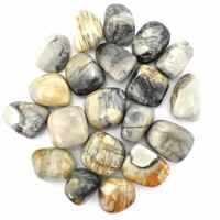 Picasso Jasper Tumbled Stones [Medium]