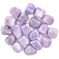 Pink Lepidolite Tumbled Stones [Dark Medium ]