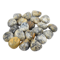 Moss Opalite Tumbled Stones [Medium]