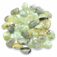 Prehnite Tumbled Stones [Medium]