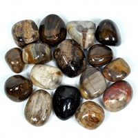 Petrified Wood Tumbled Stones [Medium]