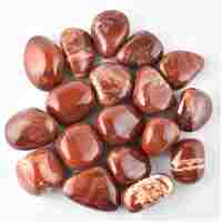 Red Snakeskin Jasper Tumbled Stones [Medium]