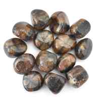 Chiastolite Tumbled Stones [Medium 150gm]