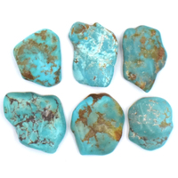 Tibetan Turquoise Tumbled Stones [40gm 5pc]