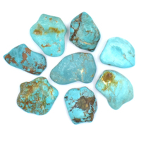 Tibetan Turquoise Tumbled Stones [40gm 7-8pcs]