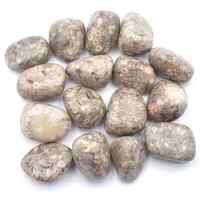 White Leopardskin Jasper  Tumbled Stones [Medium]