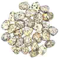 Dalmatian Jasper Tumbled Stones [Small Type 2]