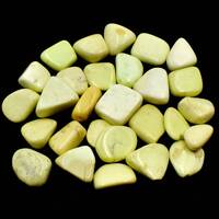 Lemon Chrysoprase Tumbled Stones [Small (Type A)]