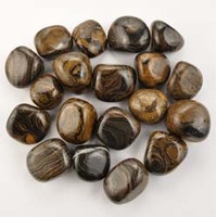 Stromatolite Tumbled Stones [Medium]